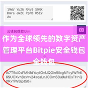 作为全球领先的数字资产管理平台Bitpie安全钱包