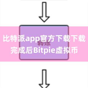 比特派app官方下载下载完成后Bitpie虚拟币